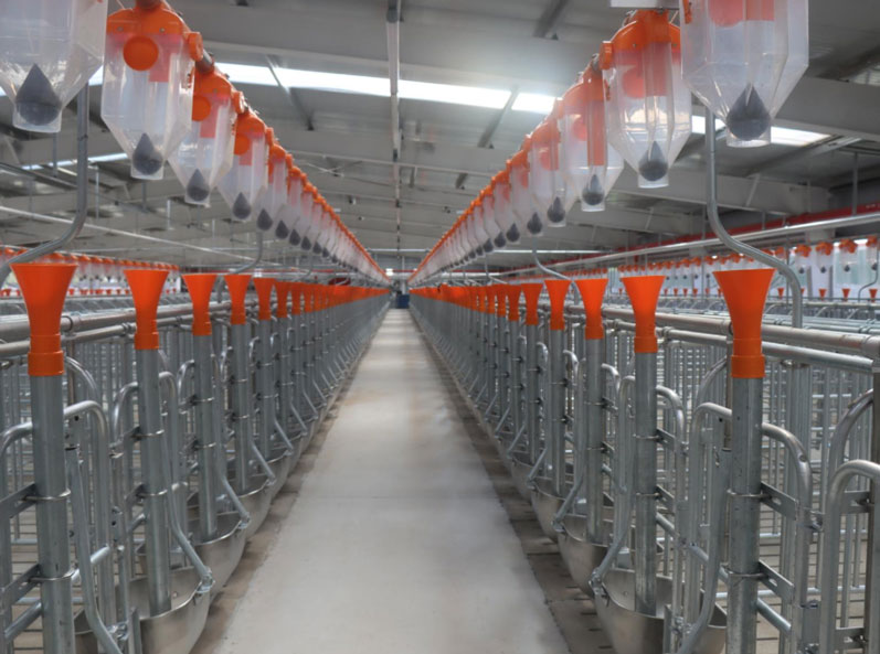 Base expérimentale du projet d'élevage de l'Université agricole centrale de Zhuozhou, Hebei