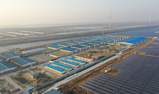 Projet de ferme d'engraissement COFCO de Jiangsu Dongtai