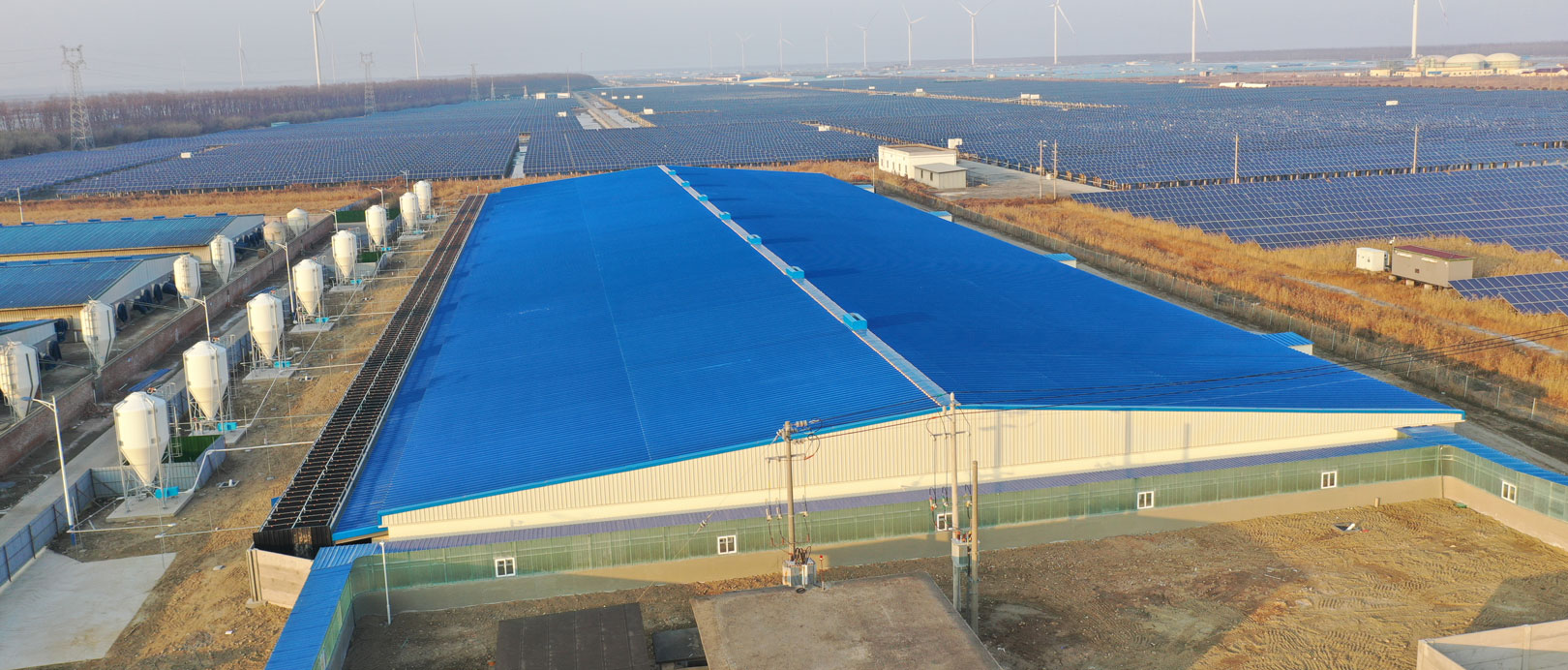 Projet de ferme d'engraissement COFCO de Jiangsu Dongtai