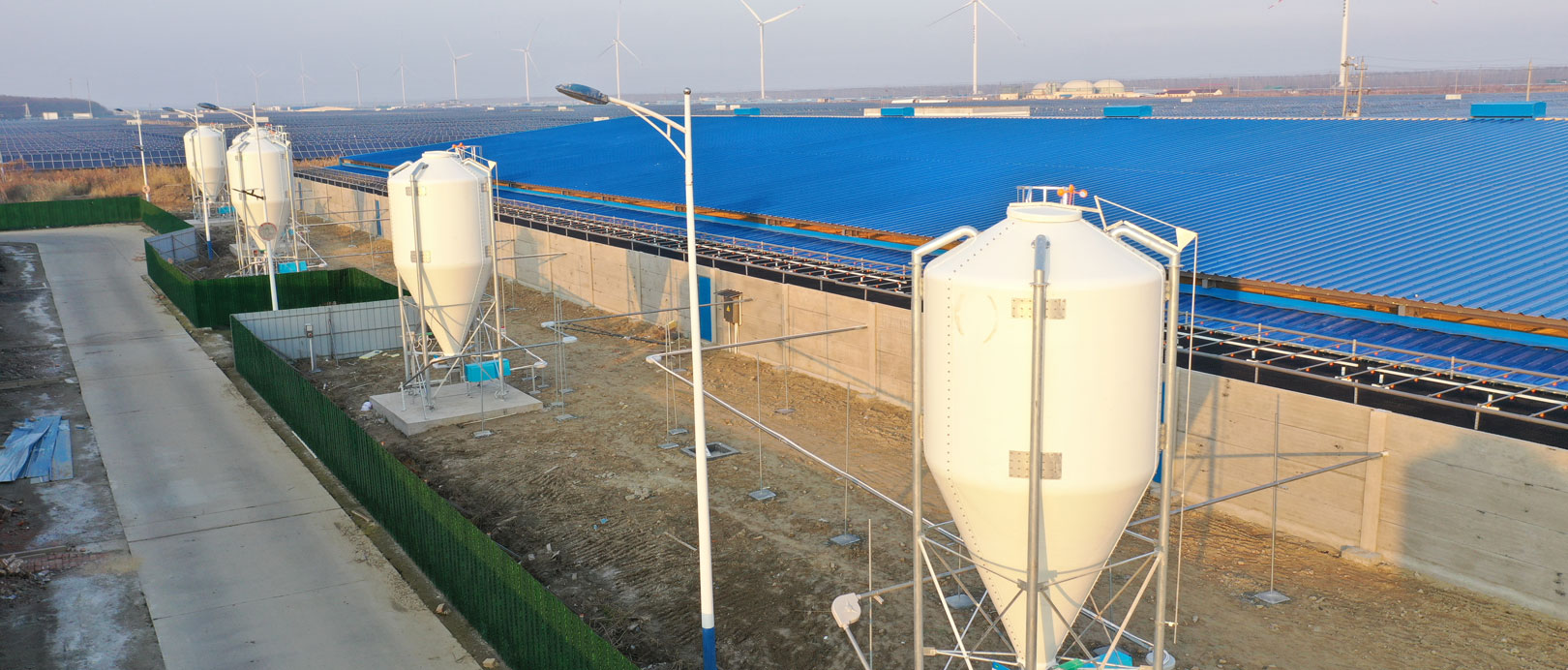 Projet de ferme d'engraissement COFCO de Jiangsu Dongtai