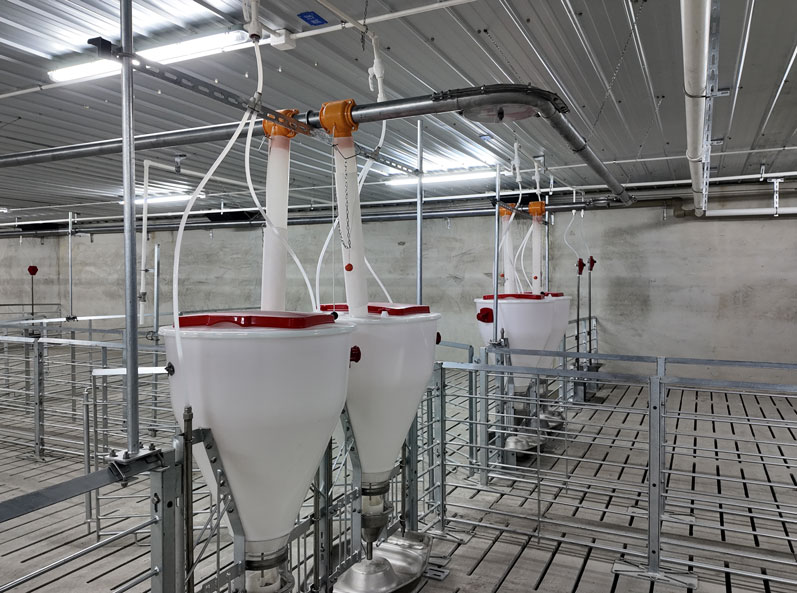 Projet de ferme d'engraissement COFCO de Jiangsu Dongtai