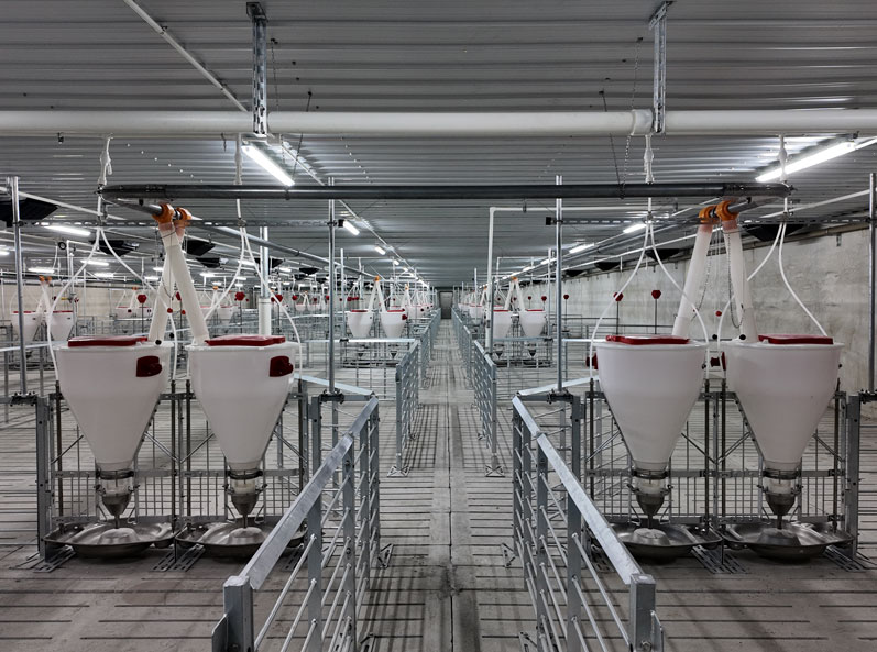 Projet de ferme d'engraissement COFCO de Jiangsu Dongtai