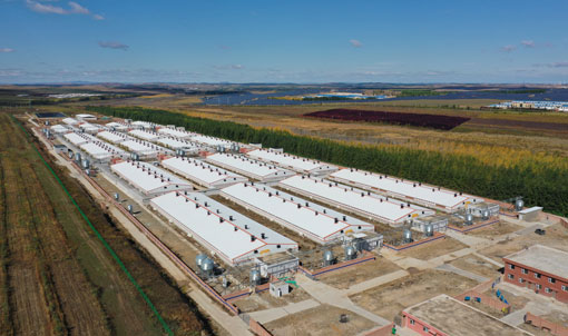 Ferme d'engraissement Keyou Qianqi