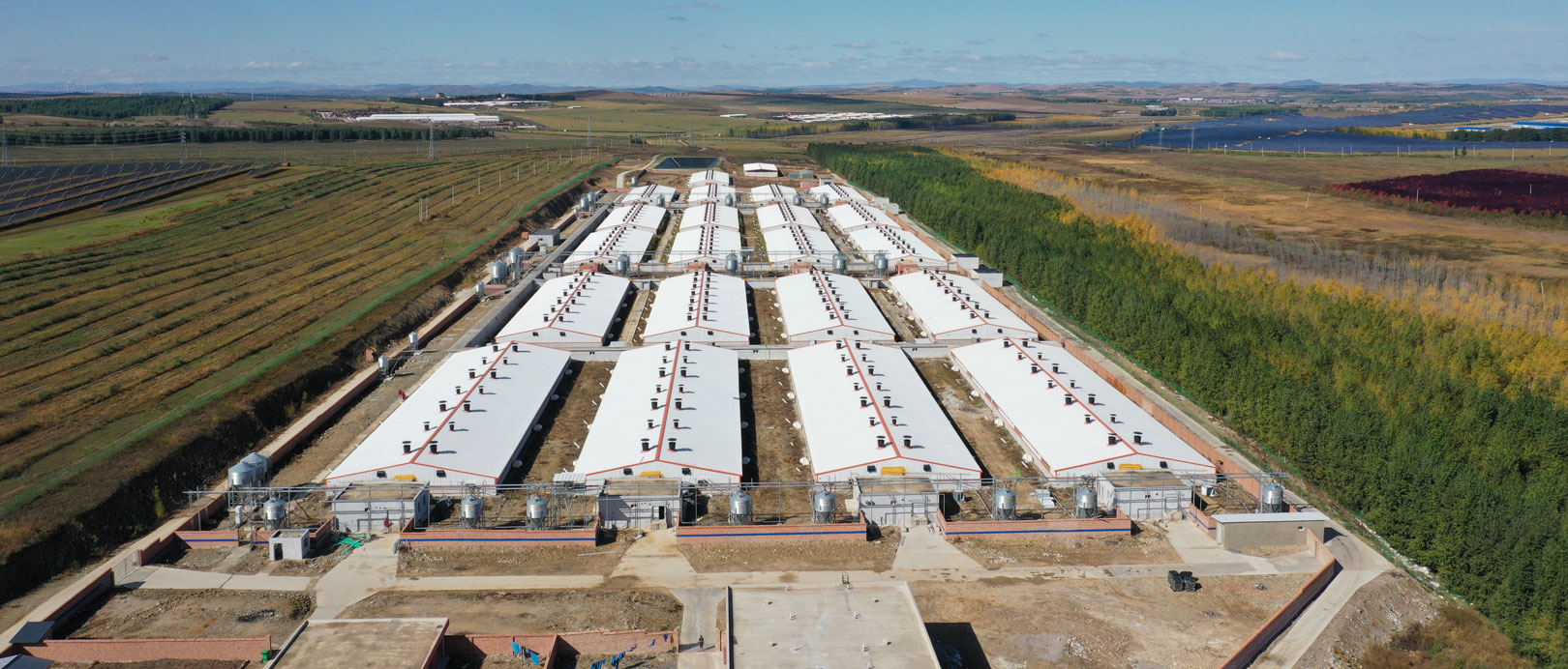 Ferme d'engraissement Keyou Qianqi