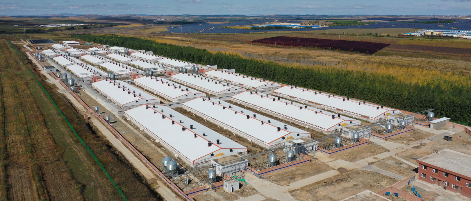 Ferme d'engraissement Keyou Qianqi