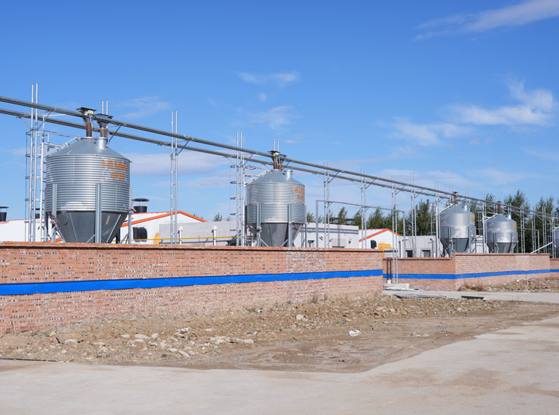 Ferme d'engraissement Keyou Qianqi
