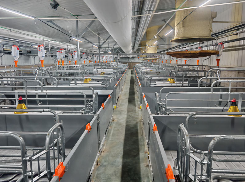 Ferme d'engraissement Keyou Qianqi