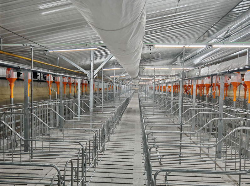Ferme d'engraissement Keyou Qianqi