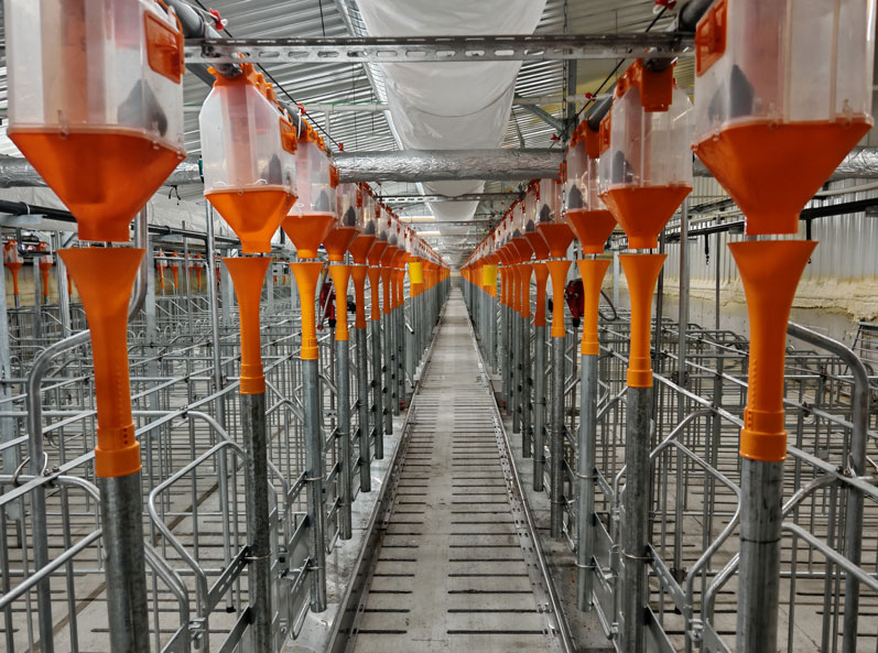 Ferme d'engraissement Keyou Qianqi