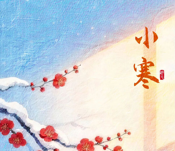 Xiaohan | Suivre les fleurs de prunier vers la chaleur, attendre patiemment le son du printemps