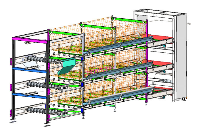 cage &agrave; poulets de chair