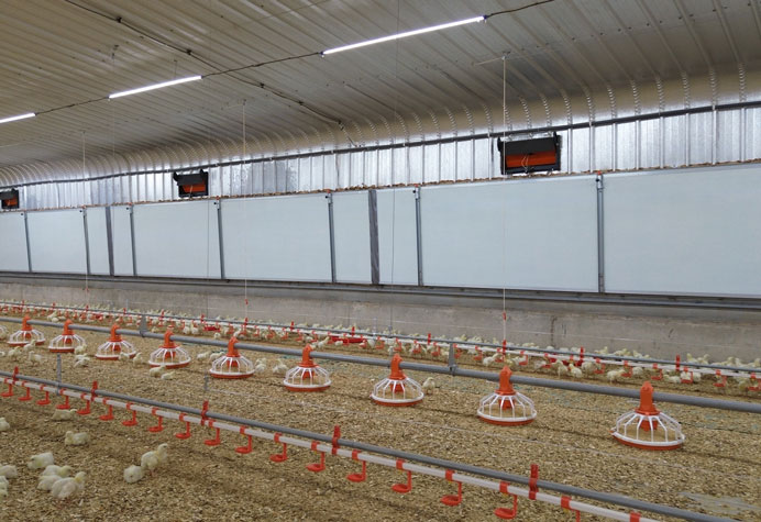 Gestion des salles de cuisson des poulets
