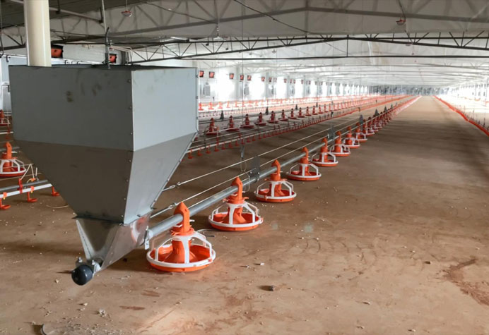 Gestion des salles de cuisson des poulets