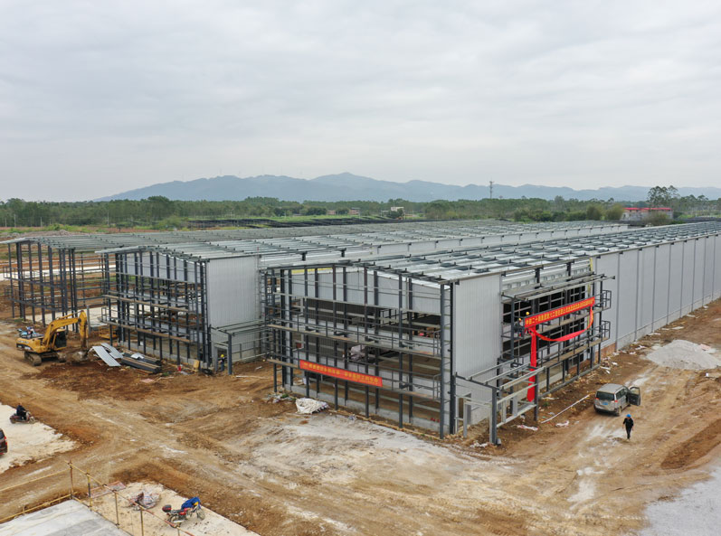 Projet d'&eacute;levage de poules pondeuses de Guigang Tongfa, couvrant l'ensemble de la cha&icirc;ne industrielle et comprenant 3,6 millions de volailles