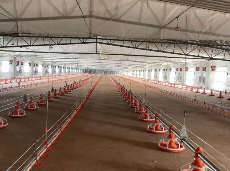 Projet d'élévation de plancher à double couche pour poulets de chair WENS
