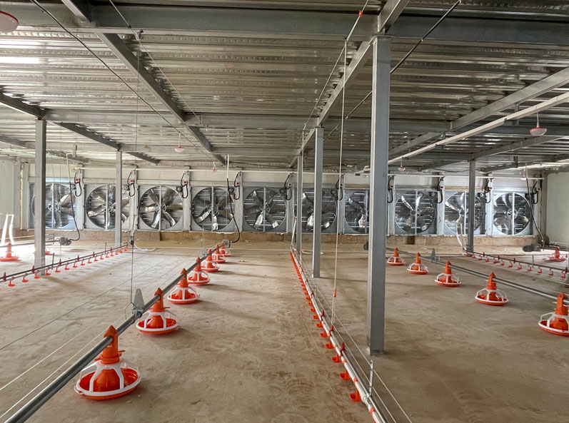 Projet d'élévation de plancher à double couche pour poulets de chair WENS