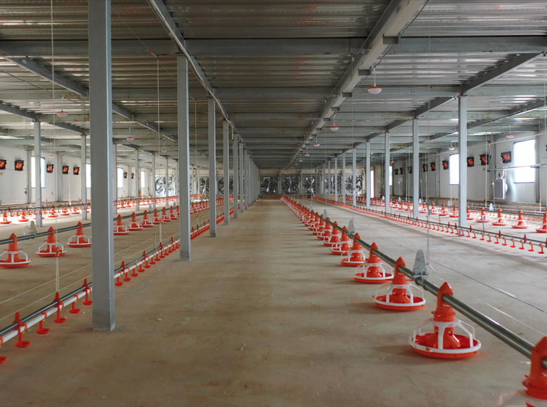Projet d'élévation de plancher à double couche pour poulets de chair WENS