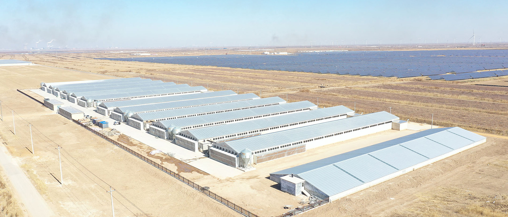 Projet d'&eacute;levage en cage de poulets de chair du Shandong