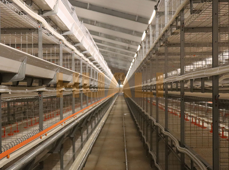 Projet d'&eacute;levage en cage de poulets de chair du Shandong