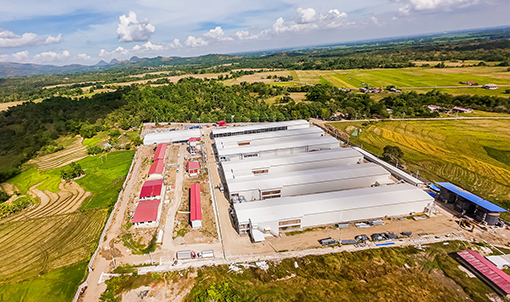 Projet d'&eacute;levage en cages pondeuses aux Philippines