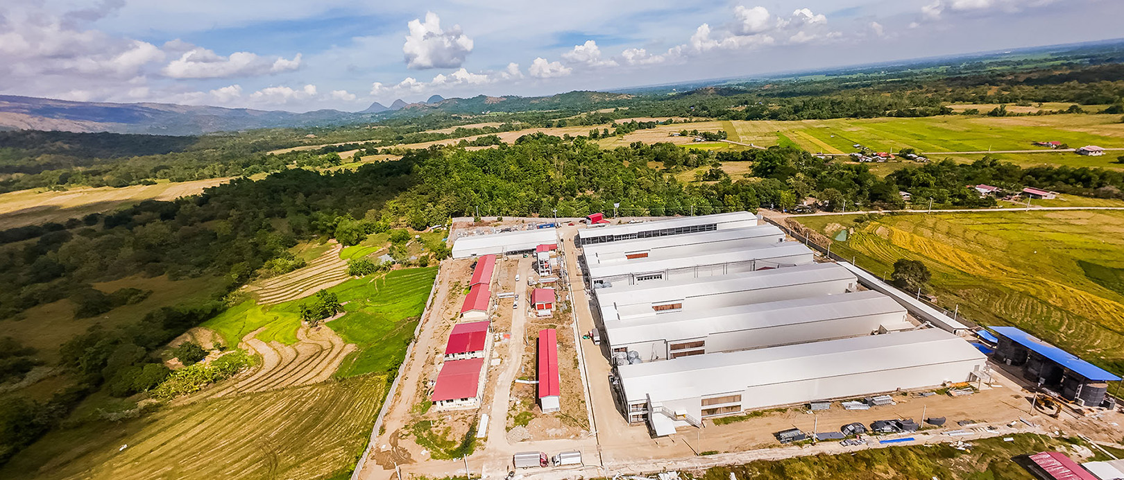 Projet d'&eacute;levage en cages pondeuses aux Philippines