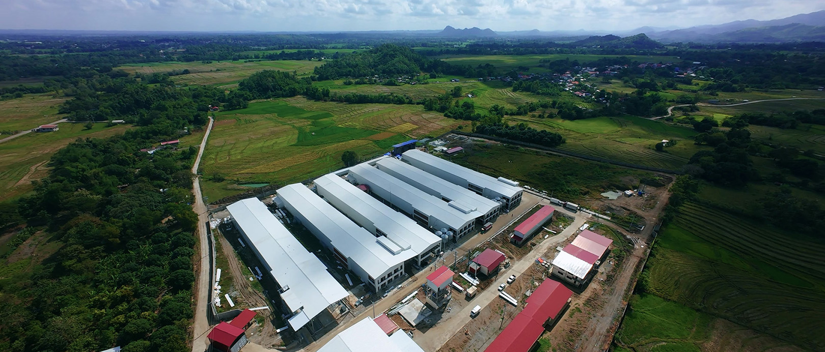 Projet d'&eacute;levage en cages pondeuses aux Philippines