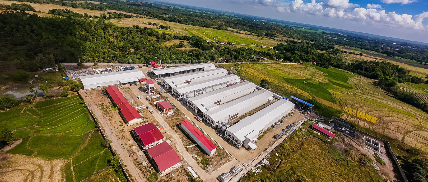 Projet d'&eacute;levage en cages pondeuses aux Philippines