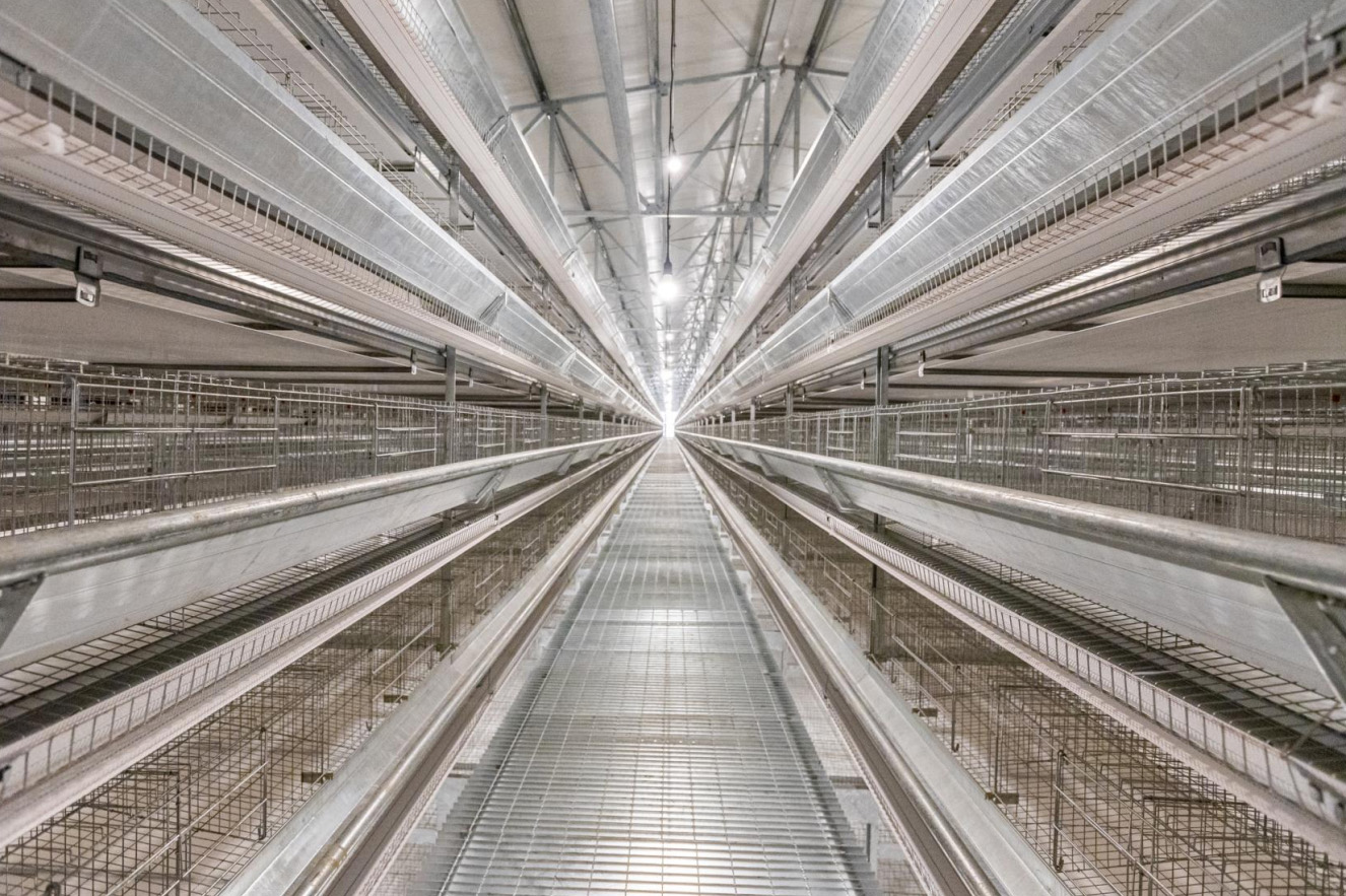 Projet d'élevage en cages pondeuses aux Philippines
