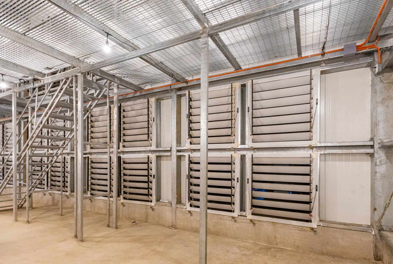 Projet d'élevage en cages pondeuses aux Philippines