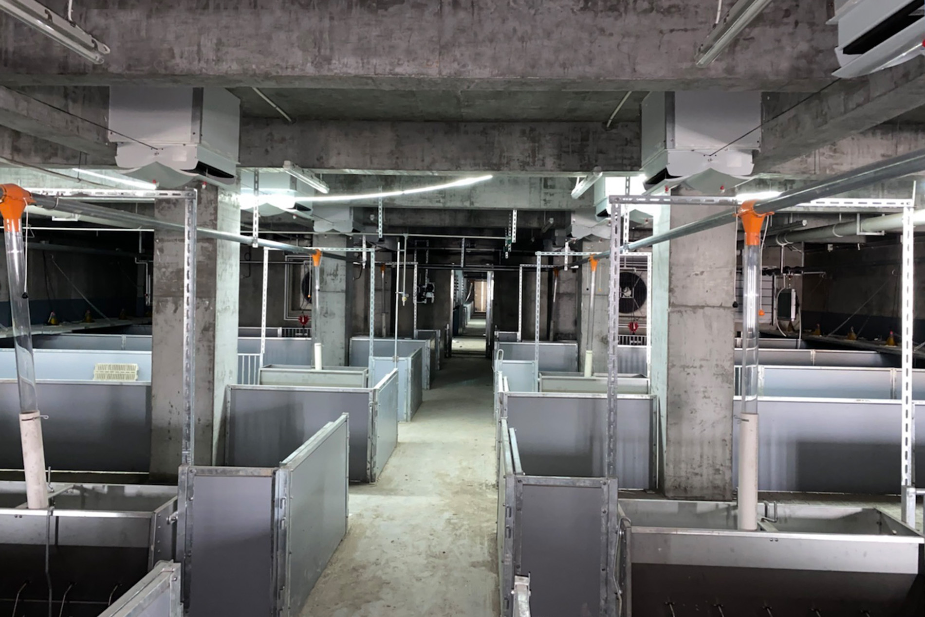 Le projet de b&acirc;timent &agrave; plusieurs &eacute;tages Dekon