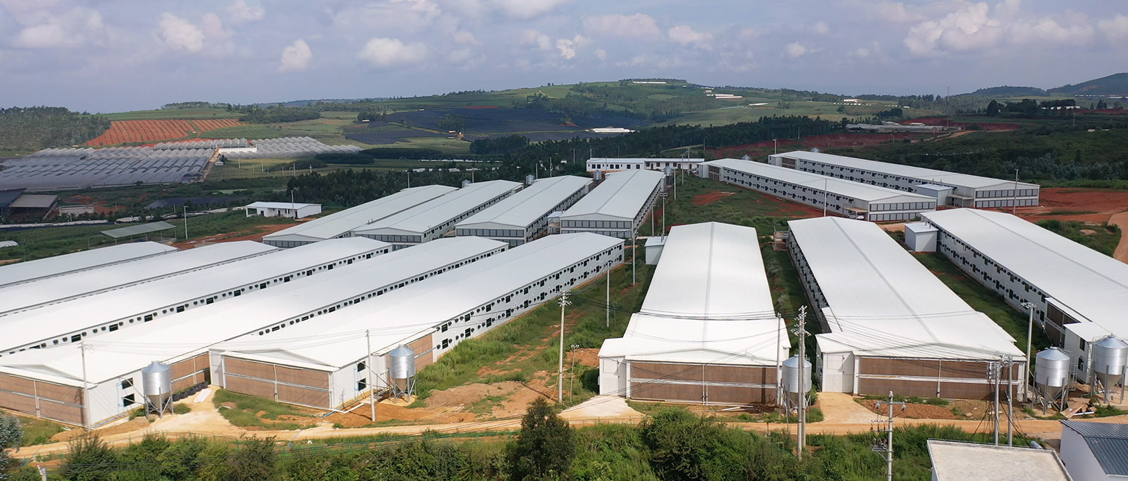 Projet d'&eacute;l&eacute;vation de plancher &agrave; double couche pour poulets de chair WENS